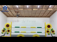 맞춤식 말뛰기 장비 내구성 PVC 철강 건축