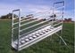 Metal Cattle Loading Ramp Double Swing Access Gates Heavy Duty Ladder