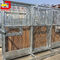 Steel Frame Bamboo Horse Stall Gates , Custom Prefab Horse Stables
